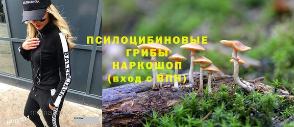 гидропоника Баксан