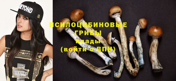 стафф Балахна