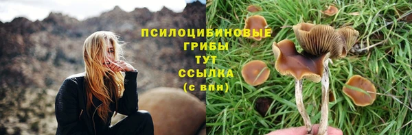 гидропоника Баксан